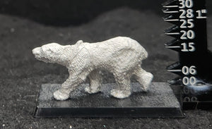 48-0245:  Polar Bear I, Closed Mouth