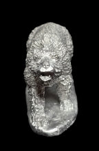 Load image into Gallery viewer, 48-0012: Large Bear, Right Foot Forward
