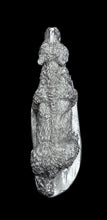 Load image into Gallery viewer, 48-0012: Large Bear, Right Foot Forward
