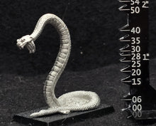 Load image into Gallery viewer, 48-0062:  Anaconda
