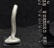 Load image into Gallery viewer, 48-0062:  Anaconda
