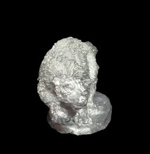 Load image into Gallery viewer, 48-0106:  Megalictis, Right Front Foot Raised
