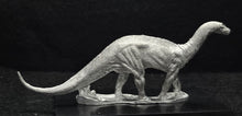 Load image into Gallery viewer, 48-0166:  Dicraeosaurus [Sauropod]
