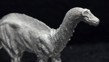 Load image into Gallery viewer, 48-0166:  Dicraeosaurus [Sauropod]
