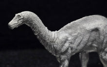 Load image into Gallery viewer, 48-0166:  Dicraeosaurus [Sauropod]
