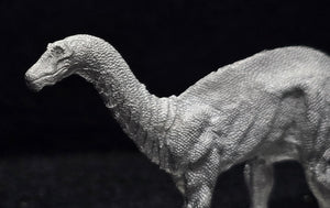 48-0166:  Dicraeosaurus [Sauropod]