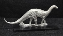 Load image into Gallery viewer, 48-0166:  Dicraeosaurus [Sauropod]
