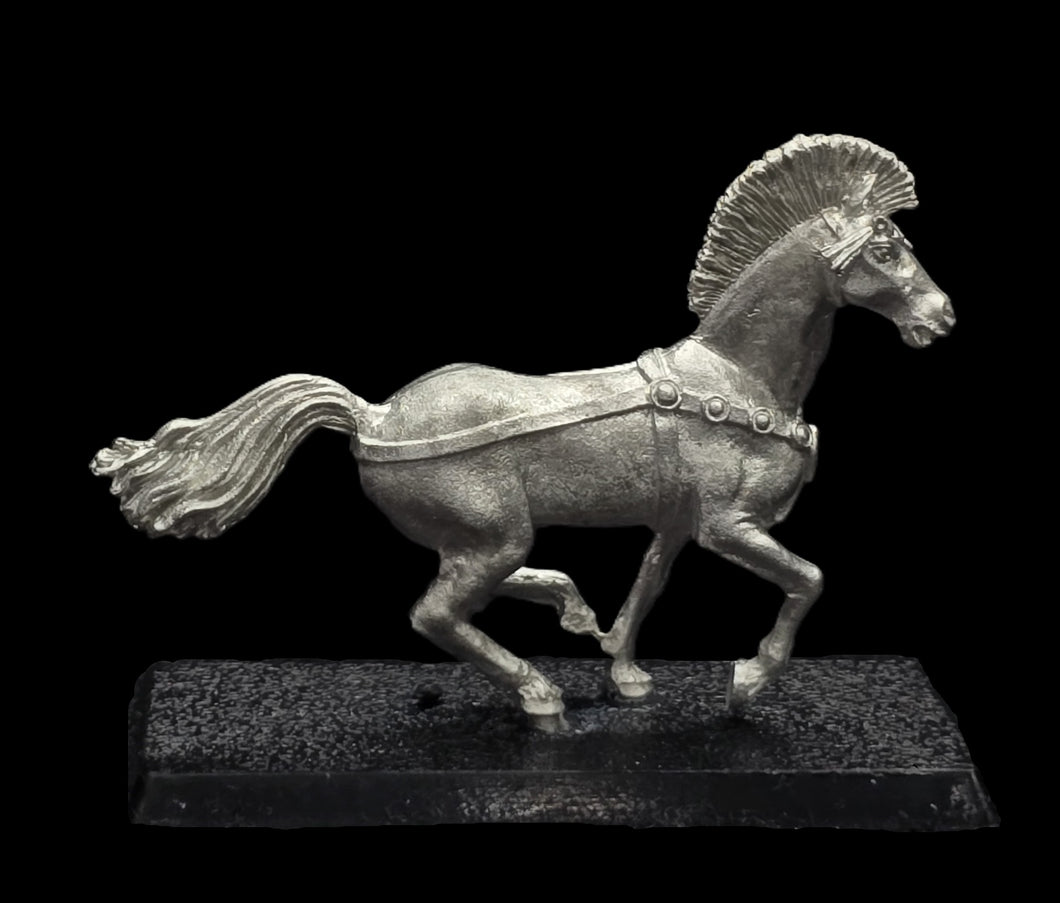 48-0228:  Chariot Horse 1, Running