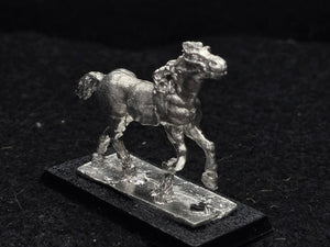 48-0552:  WarHorse, Running