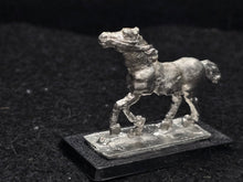 Load image into Gallery viewer, 48-0552:  WarHorse, Running
