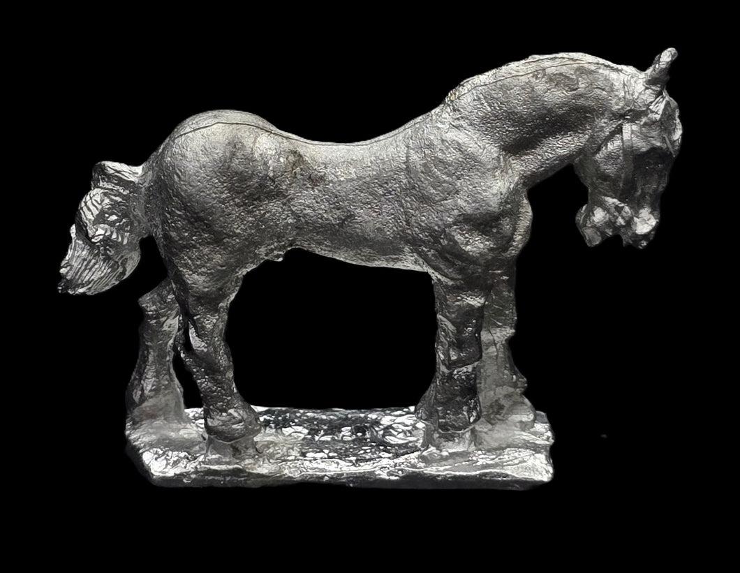 48-0565:  Heavy Horse, At Rest, No Saddle