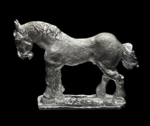 48-0565:  Heavy Horse, At Rest, No Saddle