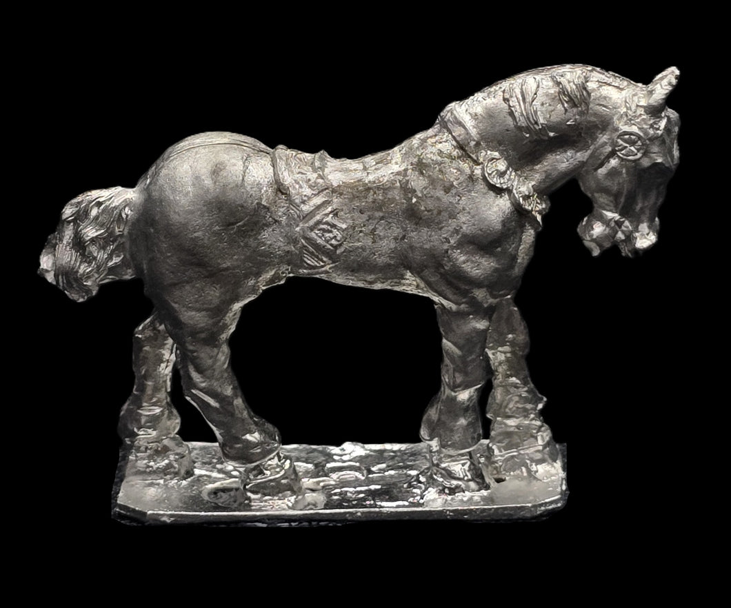 48-0566:  Heavy Horse, At Rest, Half Saddle