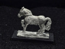 Load image into Gallery viewer, 48-0574:  Medium Horse, Prancing
