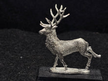 Load image into Gallery viewer, 48-0636:  Great Stag, Right Leg Forward
