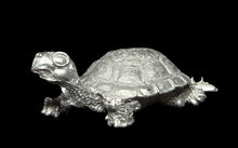 Load image into Gallery viewer, 48-0678:  Young War Turtle
