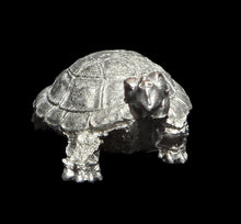 Load image into Gallery viewer, 48-0678:  Young War Turtle
