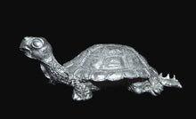 Load image into Gallery viewer, 48-0678:  Young War Turtle
