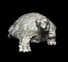 Load image into Gallery viewer, 48-0678:  Young War Turtle

