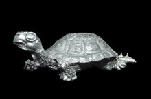 Load image into Gallery viewer, 48-0678:  Young War Turtle

