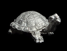 Load image into Gallery viewer, 48-0678:  Young War Turtle
