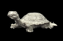 Load image into Gallery viewer, 48-0678:  Young War Turtle
