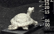 Load image into Gallery viewer, 48-0678:  Young War Turtle
