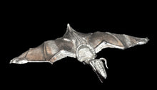 Load image into Gallery viewer, 48-0773:  Pteradactyl with Harness
