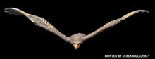Load image into Gallery viewer, 48-0832:  Giant Eagle, Flying
