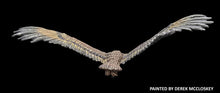 Load image into Gallery viewer, 48-0832:  Giant Eagle, Flying
