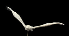 Load image into Gallery viewer, 48-0832:  Giant Eagle, Flying
