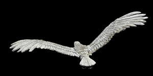 48-0832:  Giant Eagle, Flying