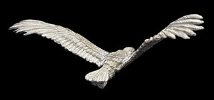 48-0832:  Giant Eagle, Flying