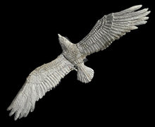 Load image into Gallery viewer, 48-0832:  Giant Eagle, Flying
