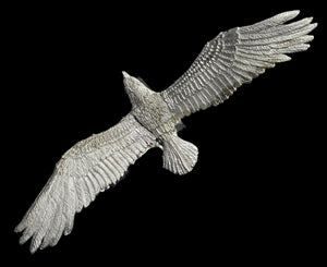 48-0832:  Giant Eagle, Flying