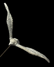 Load image into Gallery viewer, 48-0832:  Giant Eagle, Flying
