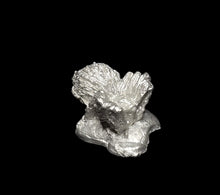 Load image into Gallery viewer, 48-0847:  Spider, Crouched
