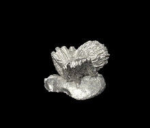 Load image into Gallery viewer, 48-0847:  Spider, Crouched
