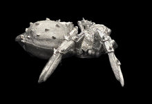 Load image into Gallery viewer, 48-0853:  Titanic Spider
