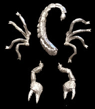 Load image into Gallery viewer, 48-0858:  Titanic Scorpion
