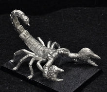 Load image into Gallery viewer, 48-0858:  Titanic Scorpion

