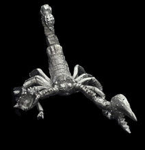 Load image into Gallery viewer, 48-0858:  Titanic Scorpion
