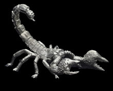 Load image into Gallery viewer, 48-0858:  Titanic Scorpion
