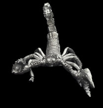 Load image into Gallery viewer, 48-0858:  Titanic Scorpion
