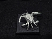 Load image into Gallery viewer, 48-0862: Titanic Crab
