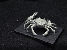 Load image into Gallery viewer, 48-0862: Titanic Crab
