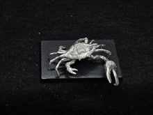 Load image into Gallery viewer, 48-0862: Titanic Crab
