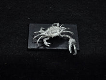 Load image into Gallery viewer, 48-0862: Titanic Crab
