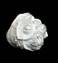 Load image into Gallery viewer, 48-0877:  Titanic Bear, Plate Armor, RF Raised, Closed Mouth
