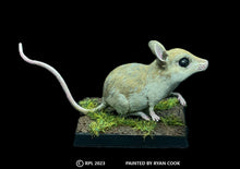 Load image into Gallery viewer, 48-0887:  Giant Field Mouse

